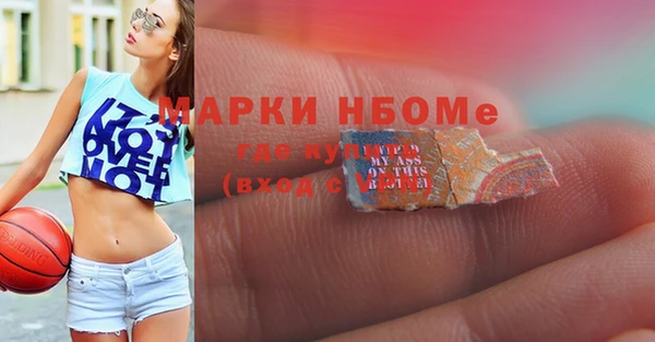гидропоника Медногорск