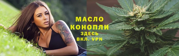 гидропоника Медногорск
