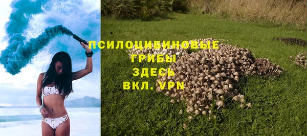 гидропоника Медногорск