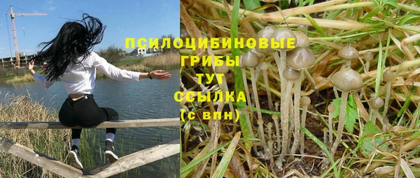 прущие крисы Мегион