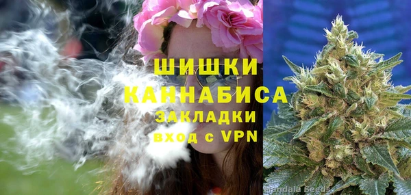 гидропоника Медногорск