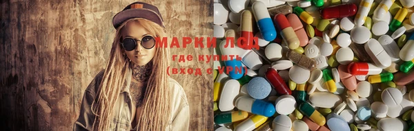 гидропоника Медногорск